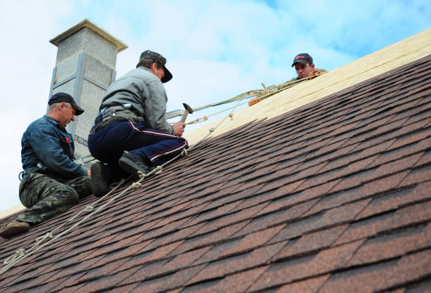 Quick and Trustworthy Emergency Roof Repair Services in West Laurel, MD